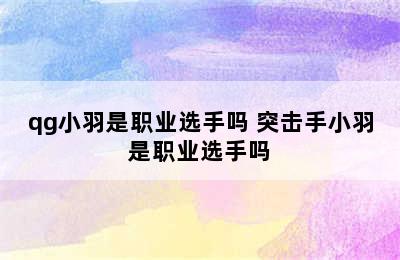 qg小羽是职业选手吗 突击手小羽是职业选手吗